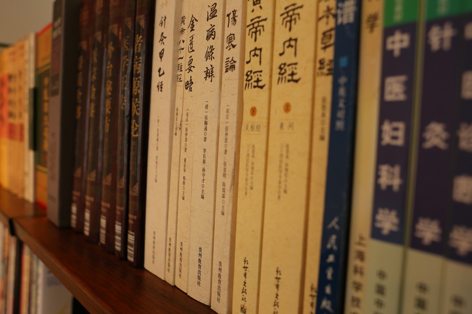 黄帝内経、中医学、不妊治療